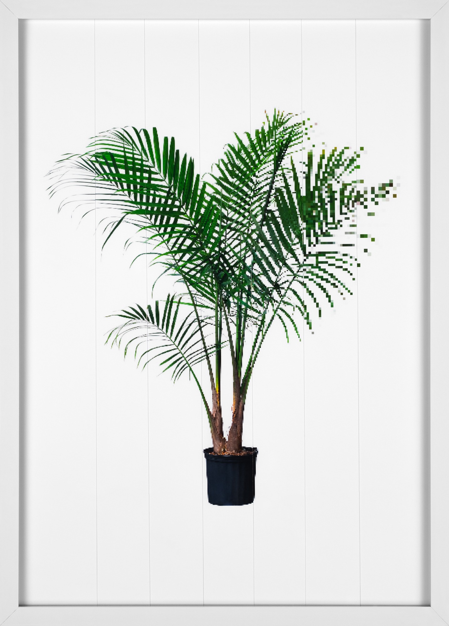 A potted palm tree with multiple overlaid layers showing a progressive degradation of the image into eventual pixels.