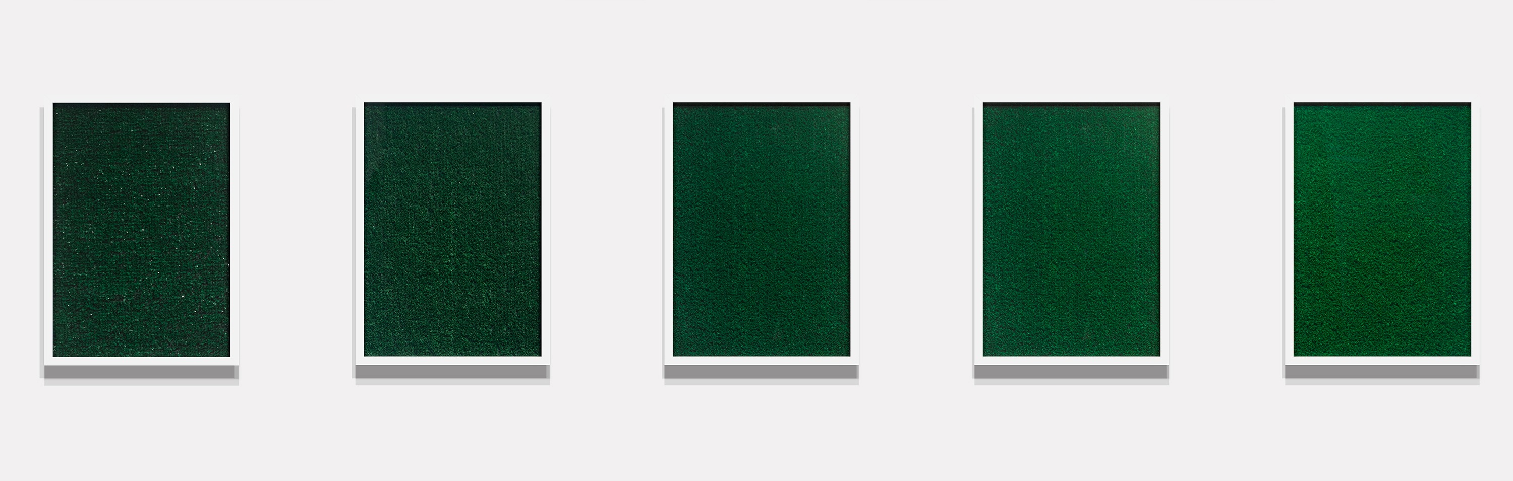 A row of five framed panels, each containing a sheet of artificial grass that becomes progressively more green from left to right. 