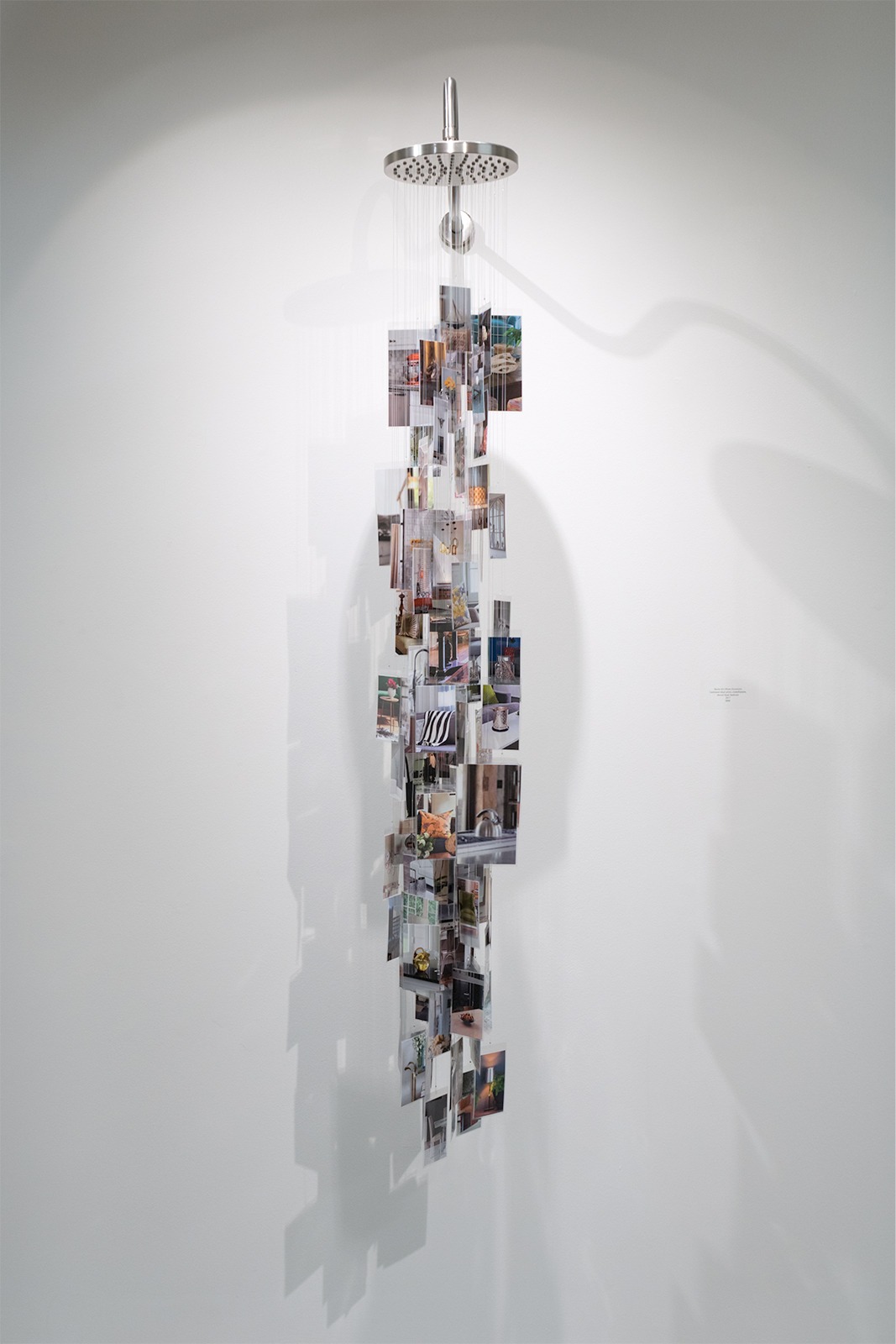 Many small laminated photographs hang from a metal shower head from clear monofilament, displaying a variety of household objects. 