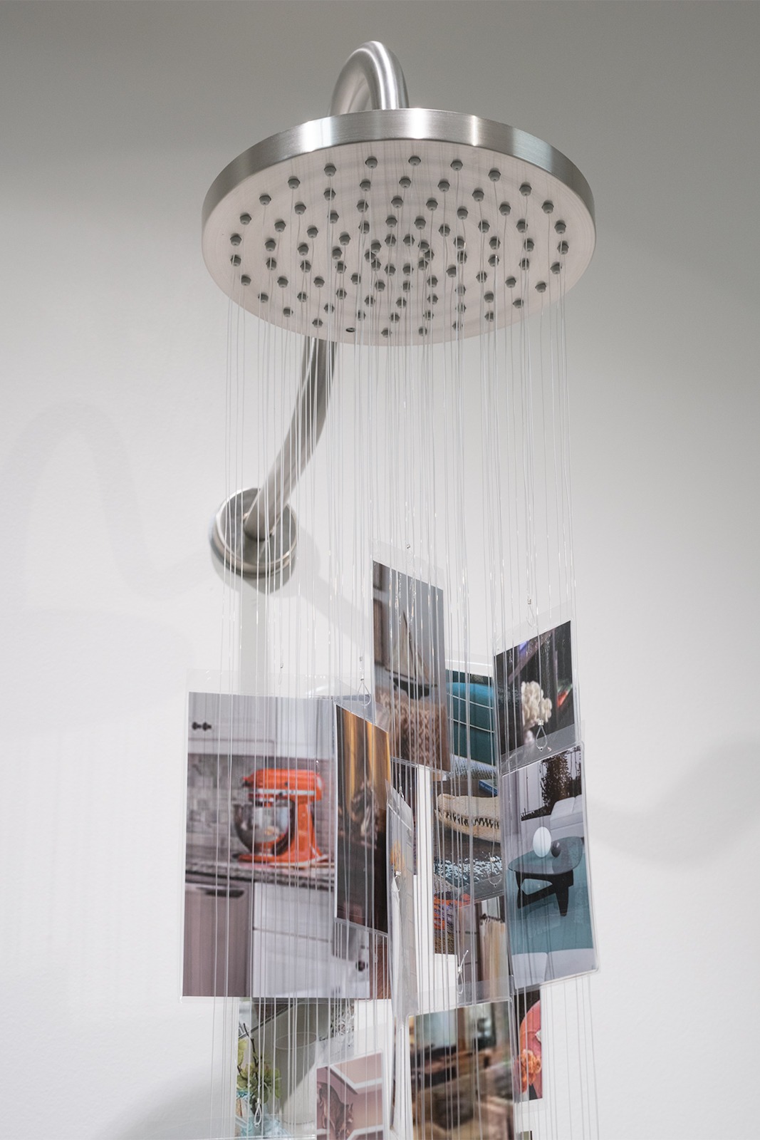 Detail shot of many laminated photographs hanging from a shower head by clear monofilament. 